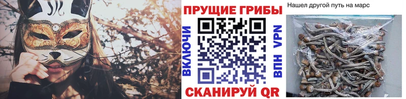 Псилоцибиновые грибы прущие грибы  Лениногорск 